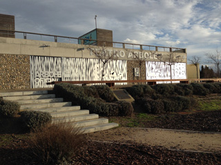 Teatro Arbolé